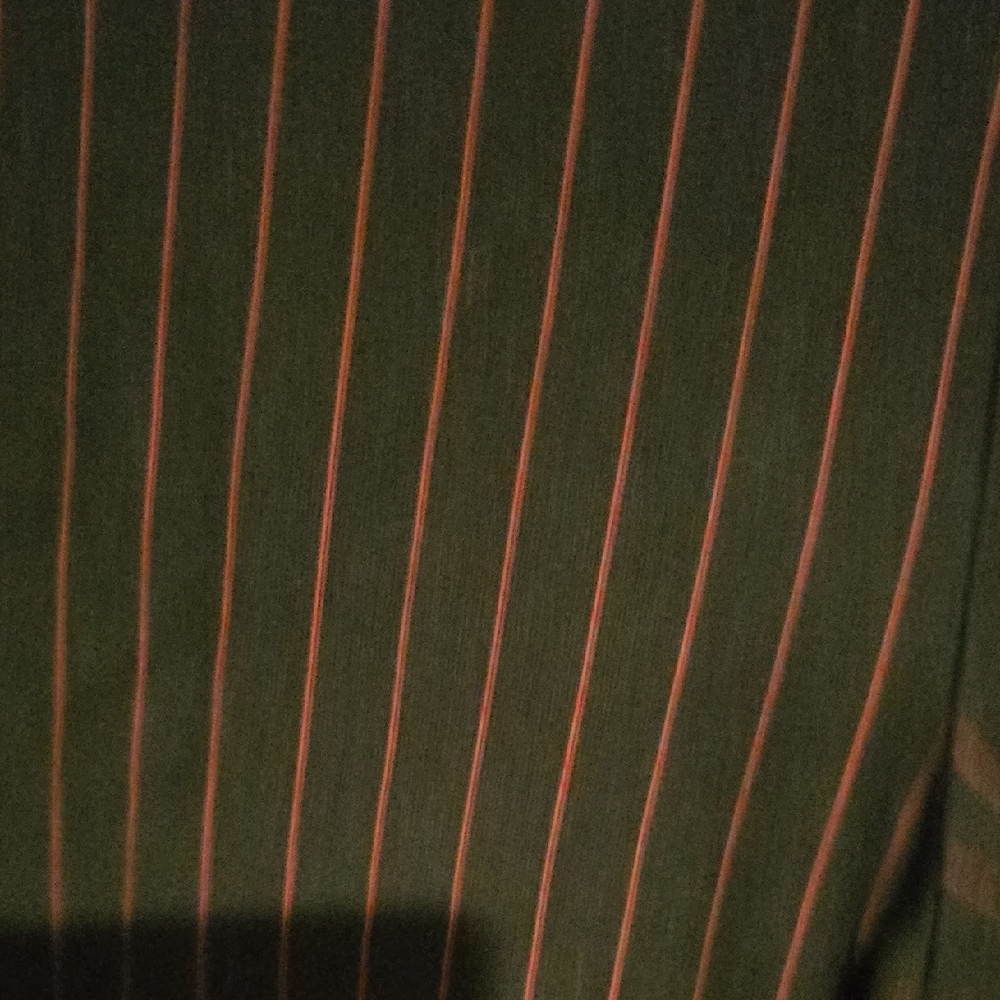 Forever 21 Black and Maroon Striped Pants - Picture 3 of 3